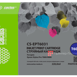 Картридж Cactus Cartridge CS-EPT6031 для Epson Stylus Pro 7880, 9880 (photo black), 220 мл