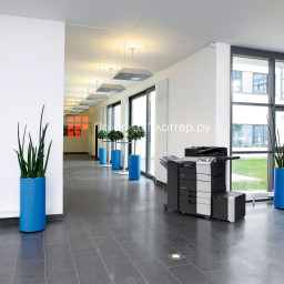 МФУ Konica Minolta bizhub 558e