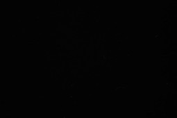 Термопленка WITPAC WEED-EX NOVA-FLEX 1002W, черная, 500 мм (1 п.м.)