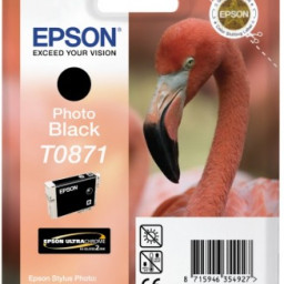 Картридж Epson T0871 (photo black)