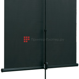 Экран Lumien Eco View LEV-100112, 4:3, 116