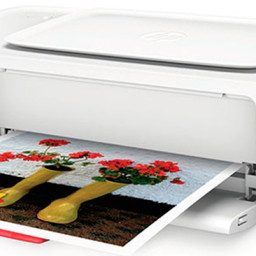 Принтер HP DeskJet Ink Advantage 1115