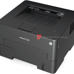Принтер Pantum P3020D