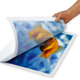 Бумага для сублимации Техноэволаб Sublim Paper, 1620 мм, 50 г/кв.м, 200 м