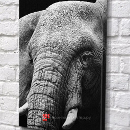 Сольвентный плоттер Esajet SJ-7160S