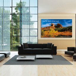 Дисплей Sharp PN-V701