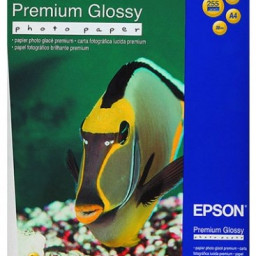 Бумага Epson Premium Glossy Photo Paper, глянцевая, A4 (210 x 297 мм), 255 г/кв.м (20 листов)