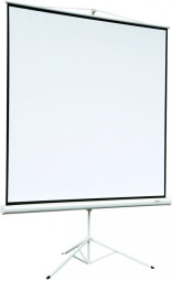 Экран DiGiS Kontur-A DSKA-4305 4:3, 114