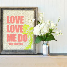 Silhouette подложка для ткани, 305 мм x 1,52 м