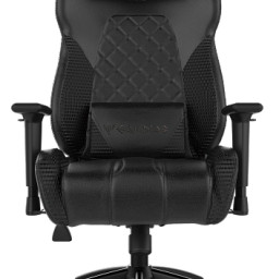 Профессиональное игровое кресло Gamdias Hercules E1 (черный)