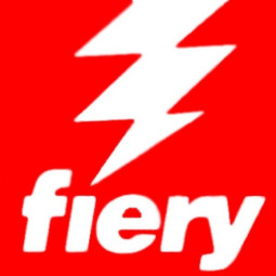 Ricoh комплект безопасности жесткого диска для контроллера EFI Server HDD Security for Fiery E82