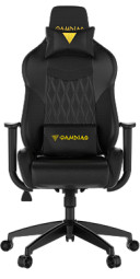 Профессиональное игровое кресло Gamdias Hercules E2 (черный)