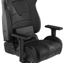 Профессиональное игровое кресло Gamdias Hercules M1 (черный)