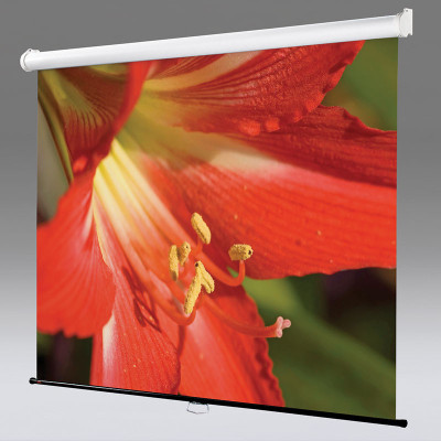 Экран Draper Star, 1:1, 99