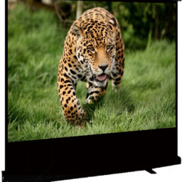 Экран Sakura Cinema Standscreen 4:3, 80