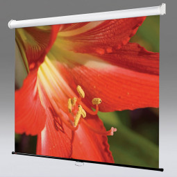 Экран Draper Star, 4:3, 100