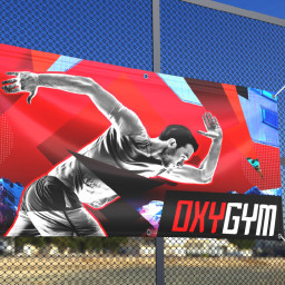 Сольвентный принтер Roland DGXPRESS ER-642