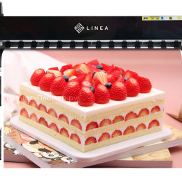 Сублимационный принтер LINEA Sub B300 1601 (1 голова) i3200 A1