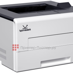 Принтер Катюша P130-pp (1 ГБ)