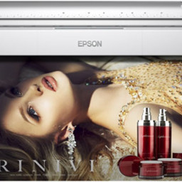 Струйный плоттер Epson SureColor SC-P20000 (акционный комплект)