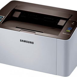 Принтер Samsung Xpress M2020W