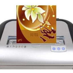 Уничтожитель (шредер) Bulros 8417M (черные бока, контур, серебряные верх, дверца)