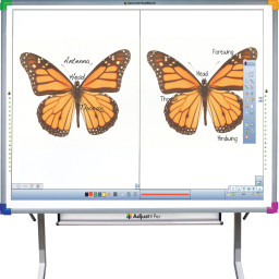 Интерактивная доска Interwrite DualBoard 1279