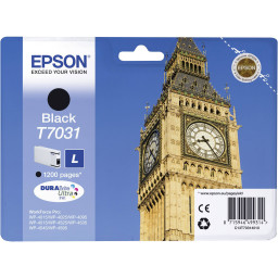 Картридж Epson T7031 L (black)