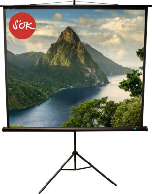 Экран Sakura Cinema Triscreen 1:1, 100