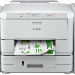Принтер Epson WorkForce Pro WF-R5190DTW (RIPS)