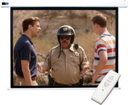 Экран Sakura Cinema Wallscreen 4:3, 120