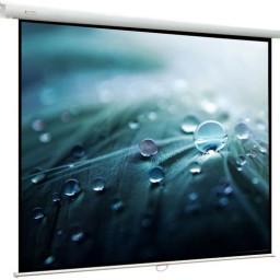 Экран ViewScreen Lotus WLO-4309, 4:3, 113