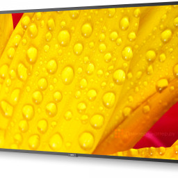 Информационная панель NEC MultiSync ME551