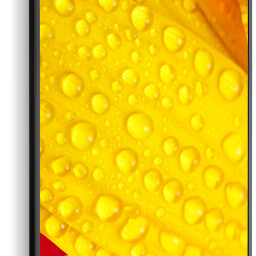 Информационная панель NEC MultiSync ME551