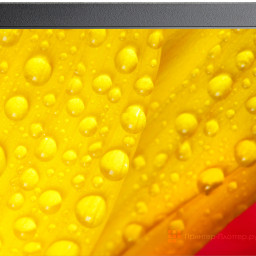 Информационная панель NEC MultiSync ME551