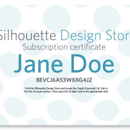 Silhouette электронная карта онлайн покупок на $10