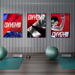 Сольвентный принтер Roland DGXPRESS ER-641