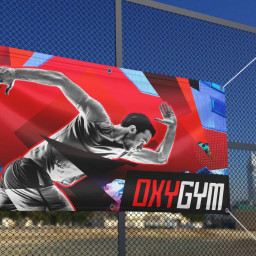 Сольвентный принтер Roland DGXPRESS ER-641