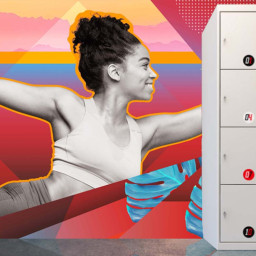 Сольвентный принтер Roland DGXPRESS ER-641