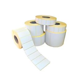 Этикет-лента Fasson, полуглянец, 100 x 245 мм, 500 шт.