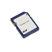 Ricoh модуль браузера Browser Unit Type P1 *2