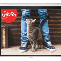 Экран Sakura Cinema Wallscreen 16:9, 84