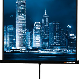 Экран Lumien Master View LMV-100102, 1:1, 82
