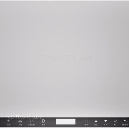 МФУ Pantum BM2300W