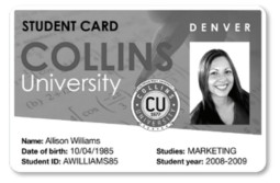 Evolis перезаписываемые черные карты PVC Blank Rewritable Cards (Black) 30 mil, 1 x 100 карт