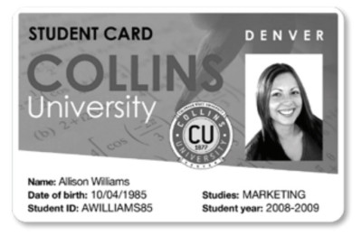 Evolis перезаписываемые черные карты PVC Blank Rewritable Cards (Black) 30 mil, 1 x 100 карт