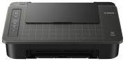 Принтер Canon PIXMA TS304