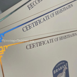 Фольгиратор Amydor AMD8025