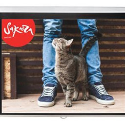 Экран Sakura Cinema Wallscreen 1:1, 71