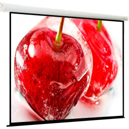 Экран ViewScreen Breston EBR-16104, 16:10, 110